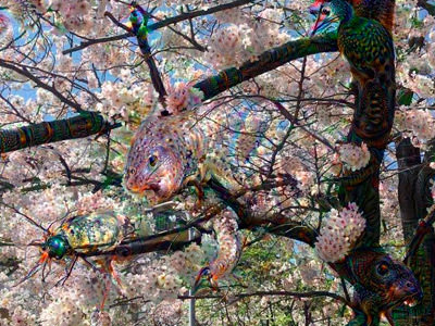 deepdream1.jpg
