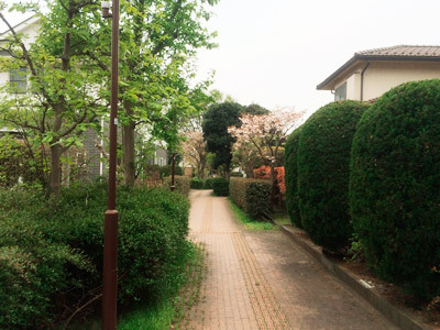 honmoku4.jpg