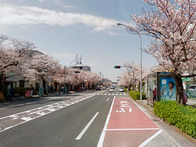 honmokukei2.jpg